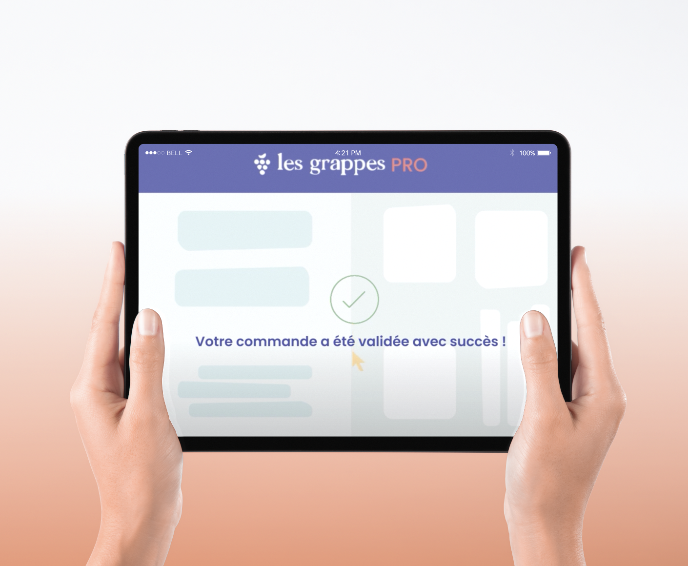 Explication des process B2B – Les Grappes